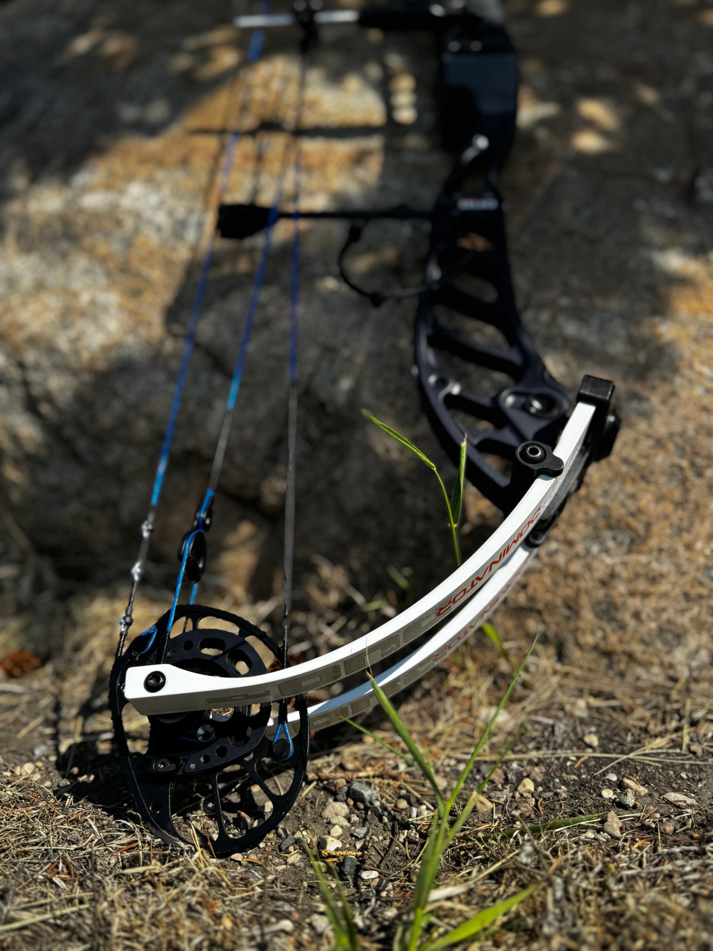 PSE Dominator Duo 35 M2 Cam (Used)